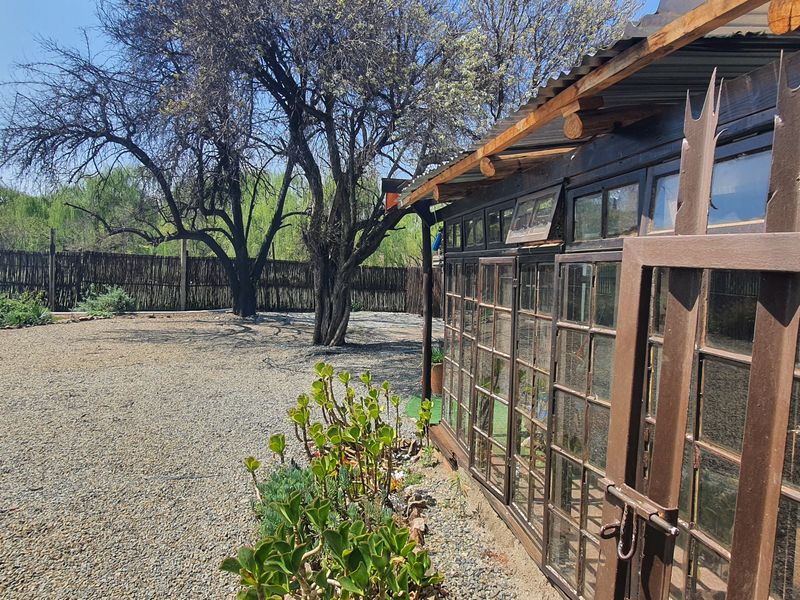 Rear exterior view featuring a gravel yard, timber-framed glass windows, and a metal security gate, set against a backdrop of mature trees and fencing.