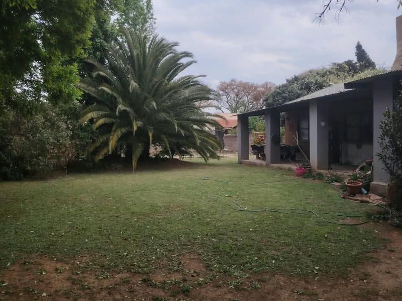 A view of the rear garden featuring a covered patio area, established lawn, and a large mature palm tree.