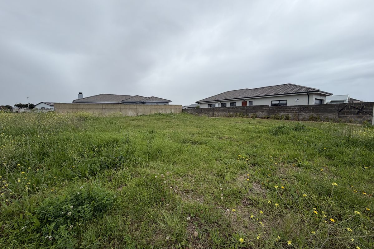 A vacant residential plot featuring overgrown grass and established concrete boundary walls, situated in a developed neighborhood.