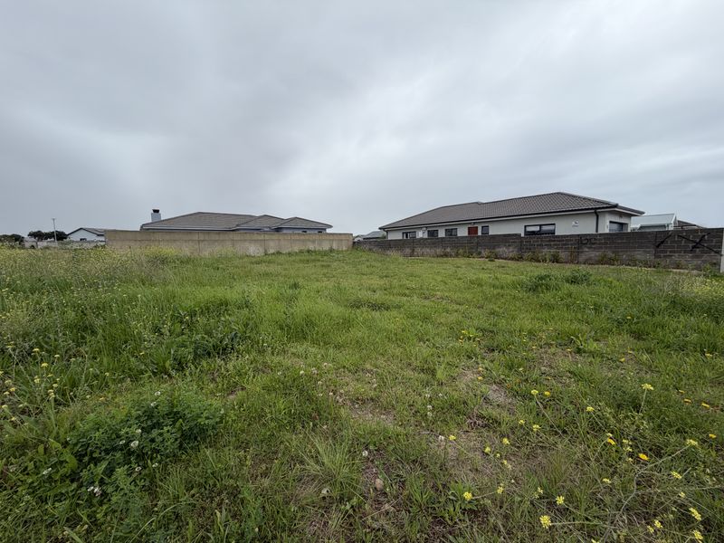 A vacant residential plot featuring overgrown grass and established concrete boundary walls, situated in a developed neighborhood.