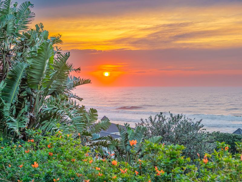 A stunning sunset view overlooking the ocean, framed by lush coastal vegetation and tropical plants.