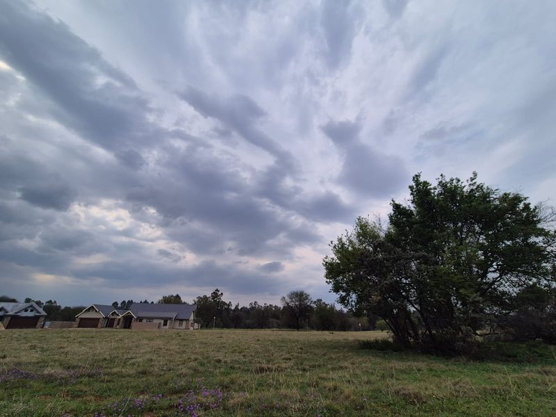 A wide-angle view of a vacant residential plot featuring natural grassland, mature trees, and a cloudy sky, with neighboring properties visible in the distance.
