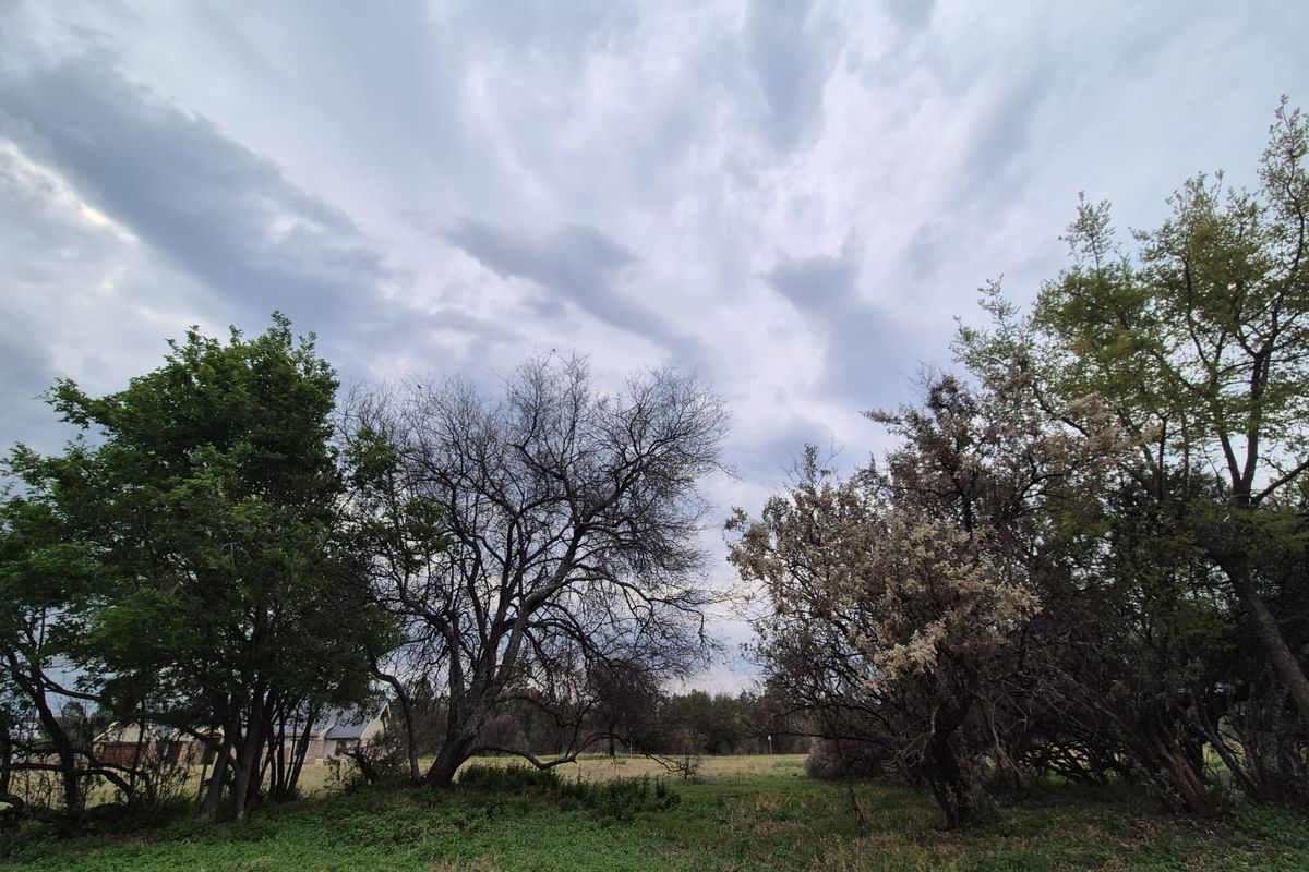 A view of a vacant residential plot featuring mature trees and natural grassland under a cloudy sky.