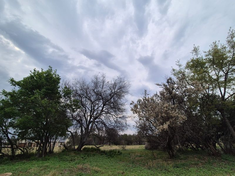 A view of a vacant residential plot featuring mature trees and natural grassland under a cloudy sky.
