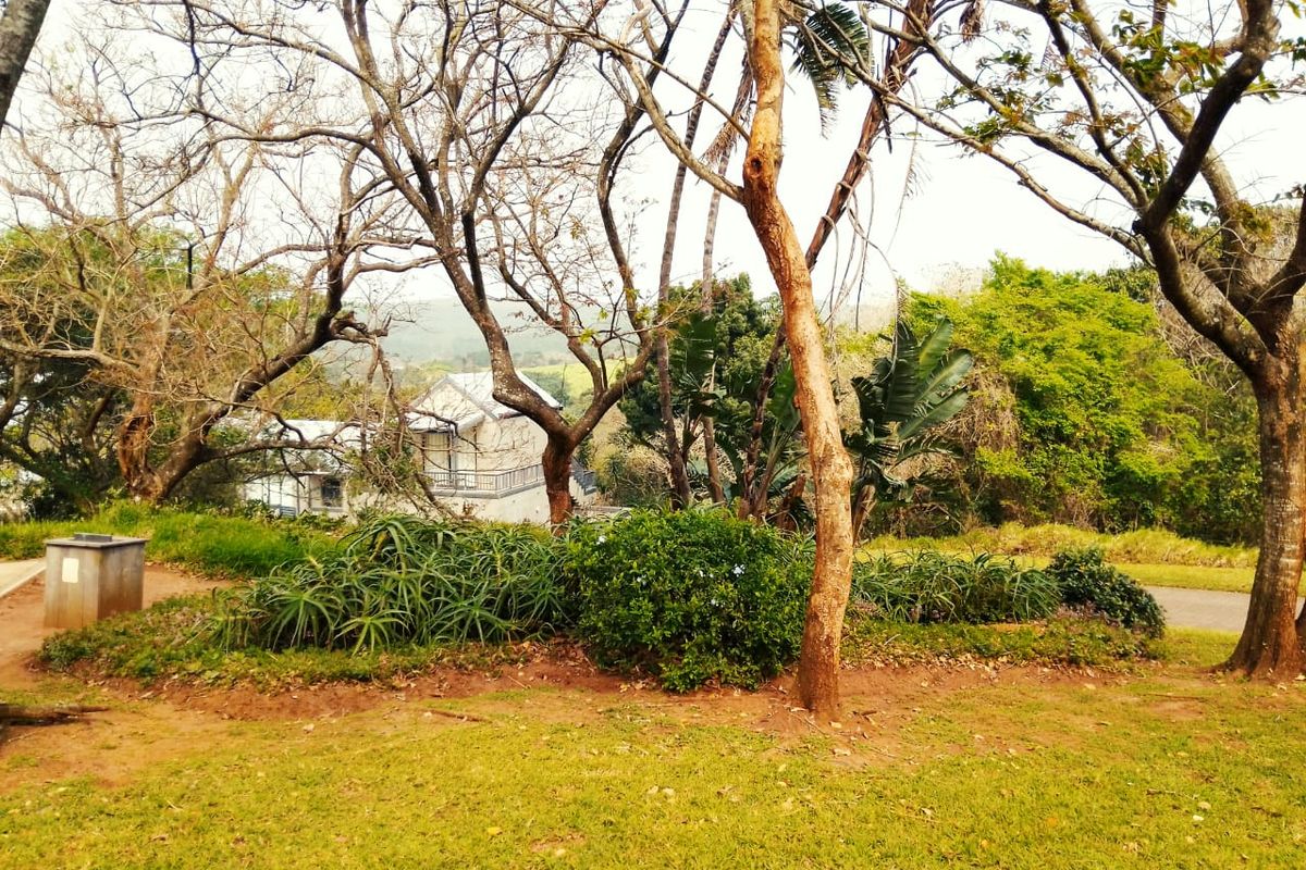 A view of a landscaped garden area featuring mature trees, established garden beds, and a lawn, with a residential building visible in the background.