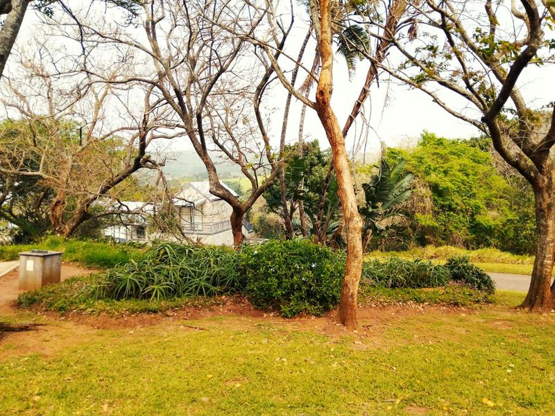 A view of a landscaped garden area featuring mature trees, established garden beds, and a lawn, with a residential building visible in the background.