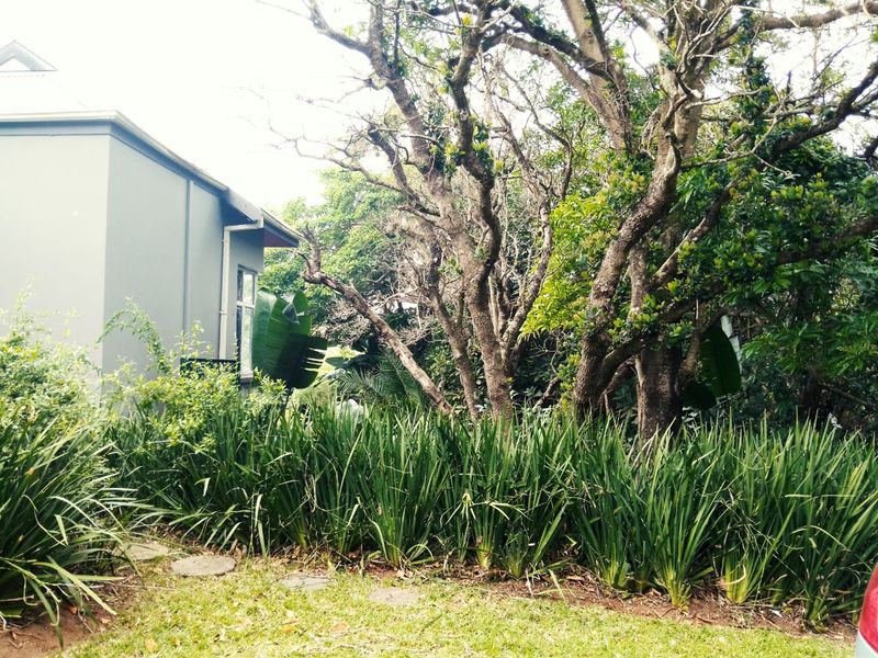 A view of a well-established garden with mature trees and lush greenery adjacent to the side of the residential building.