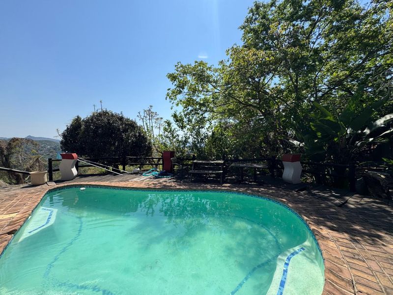 Outdoor pool area featuring a swimming pool with brick paving, timber decking, and a wooden railing, surrounded by mature trees.