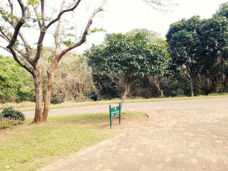 A view of a paved driveway and landscaped garden area with mature trees and directional signage on a residential property.