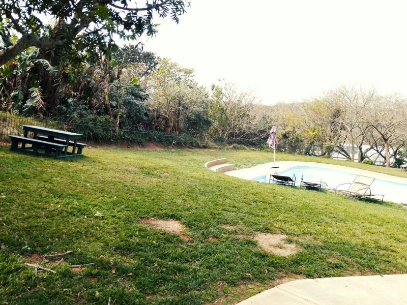A residential backyard featuring a swimming pool, surrounding lawn, and perimeter fencing, set against a backdrop of mature trees.