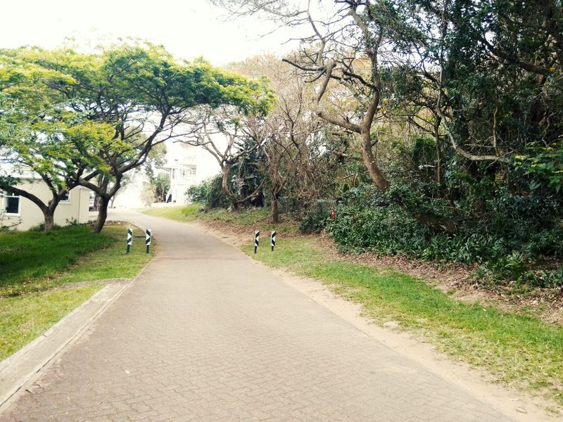 A paved driveway leading towards a residential property, surrounded by mature trees and established greenery.