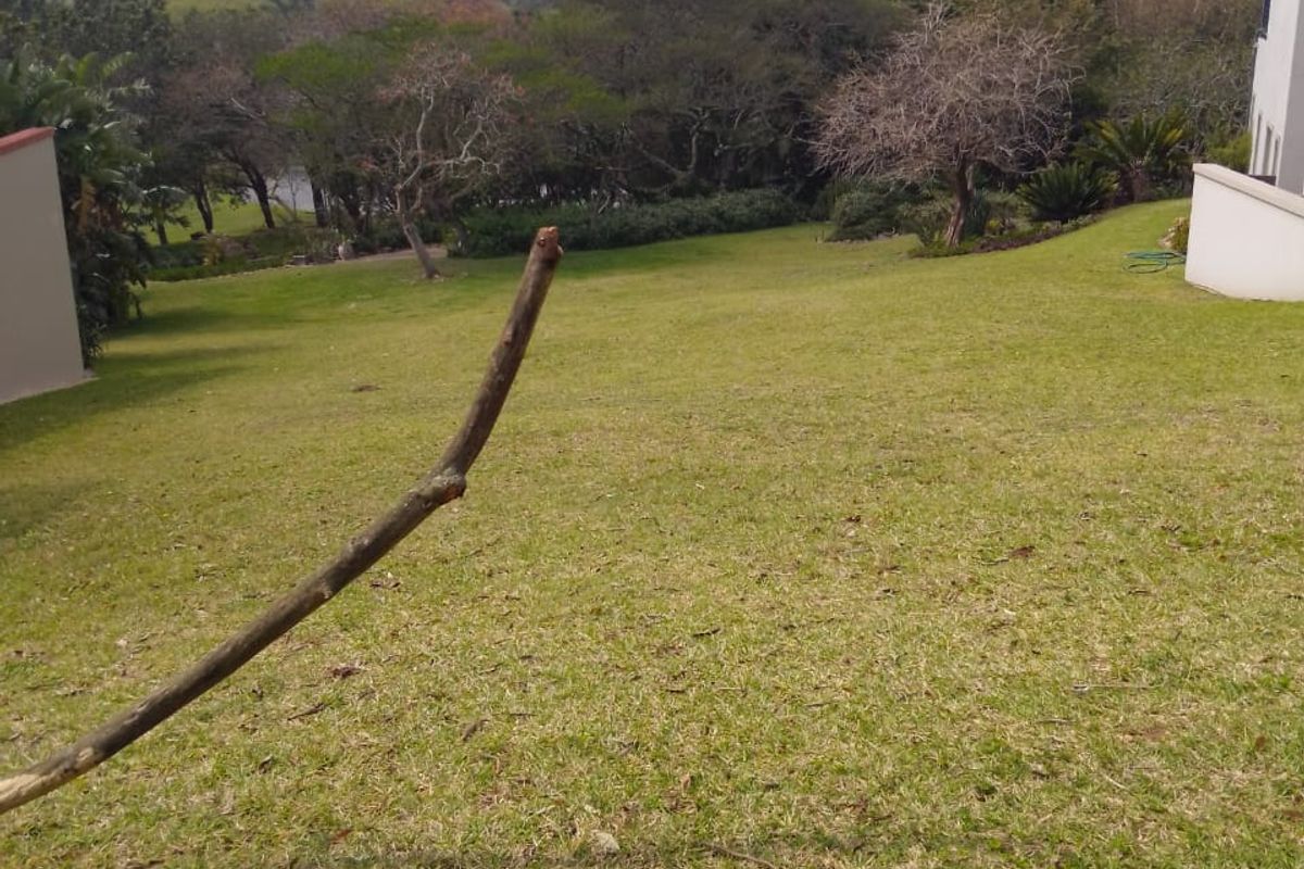 A spacious, well-maintained residential garden featuring a gentle slope, mature trees, and established lawn area with adjacent building structures.