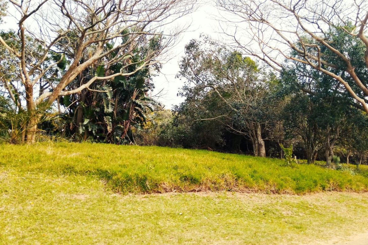 A view of a vacant residential plot featuring established trees and a grass lawn area.