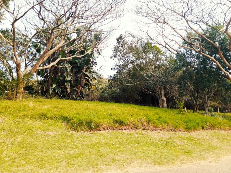 A view of a vacant residential plot featuring established trees and a grass lawn area.