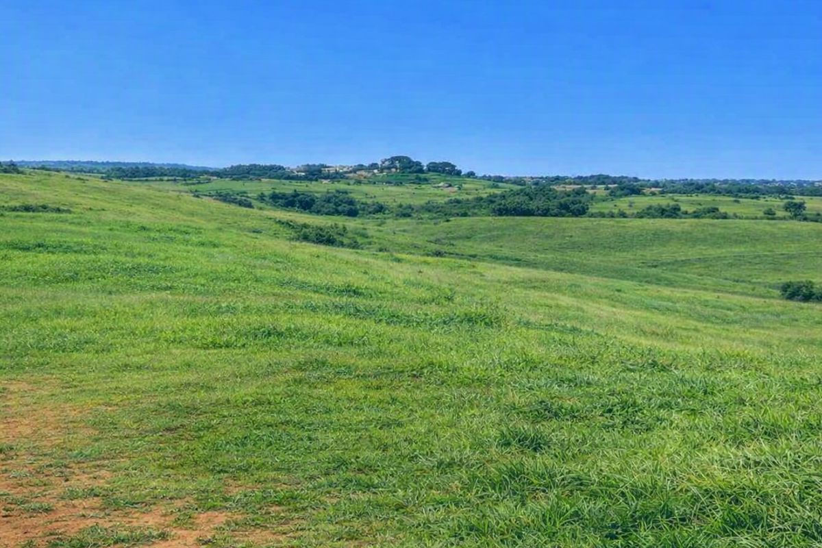 A wide-angle view of the expansive, undeveloped grassy landscape and rolling hills on this residential property.