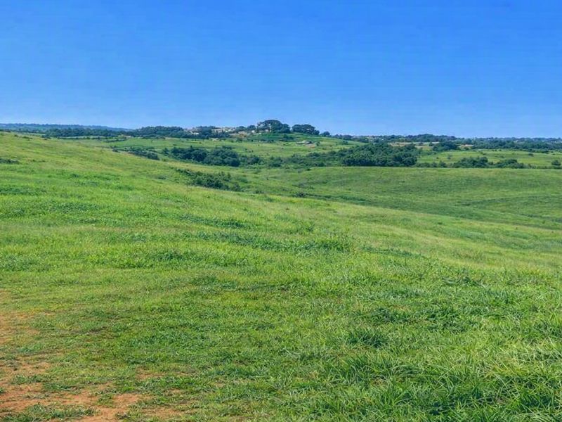 A wide-angle view of the expansive, undeveloped grassy landscape and rolling hills on this residential property.