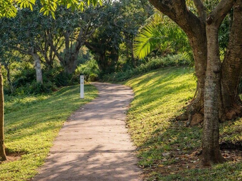 A well-maintained garden area featuring a paved pathway winding through mature trees and lush green lawn.