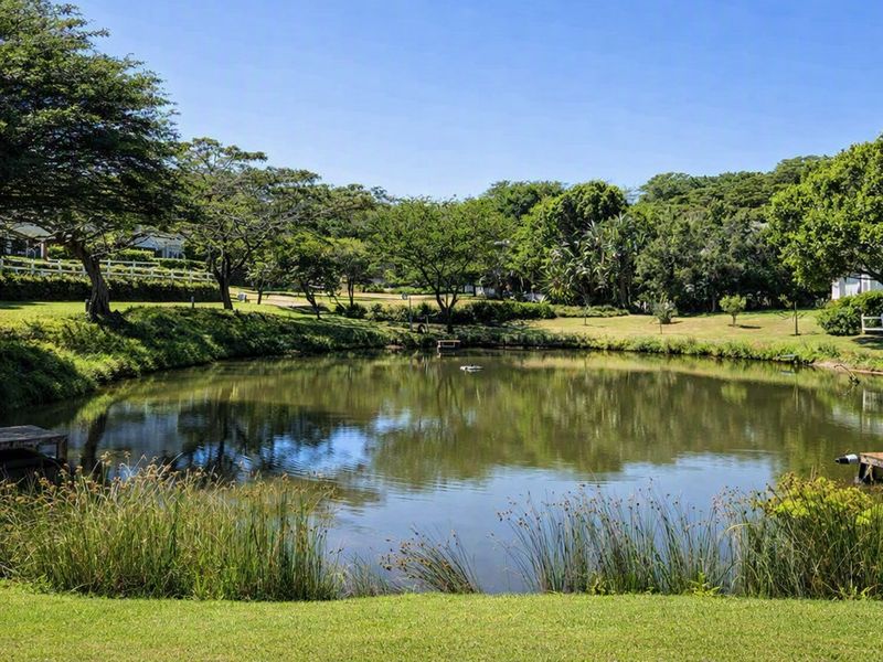 A scenic garden view featuring a tranquil pond, mature trees, manicured lawns, and wooden jetties, set within a well-maintained residential landscape.