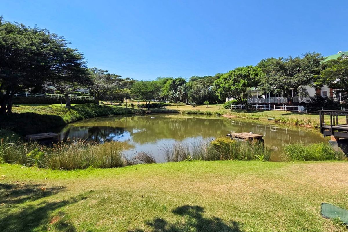 A scenic view of a tranquil pond featuring a wooden jetty, surrounded by lush green lawns and mature trees.