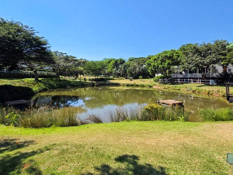 A scenic view of a tranquil pond featuring a wooden jetty, surrounded by lush green lawns and mature trees.