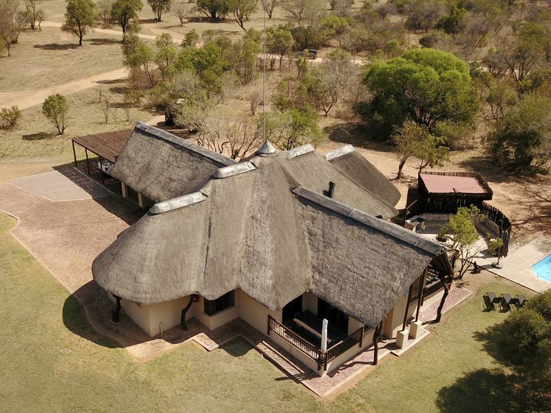Aerial view of a lodge property featuring a traditional thatch roof, swimming pool, and surrounding natural bushveld landscape.