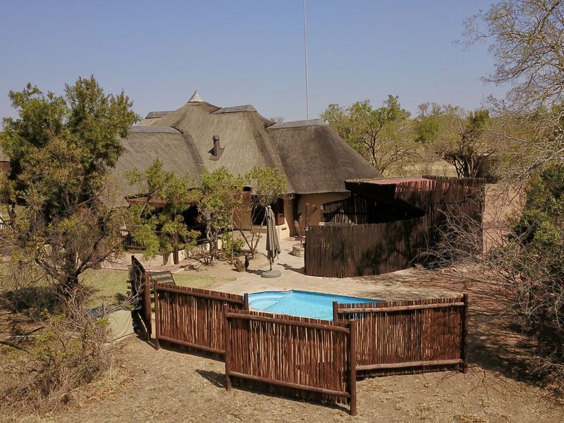 Aerial view of a lodge property featuring a thatched roof building, a private swimming pool, and natural bushveld surroundings.