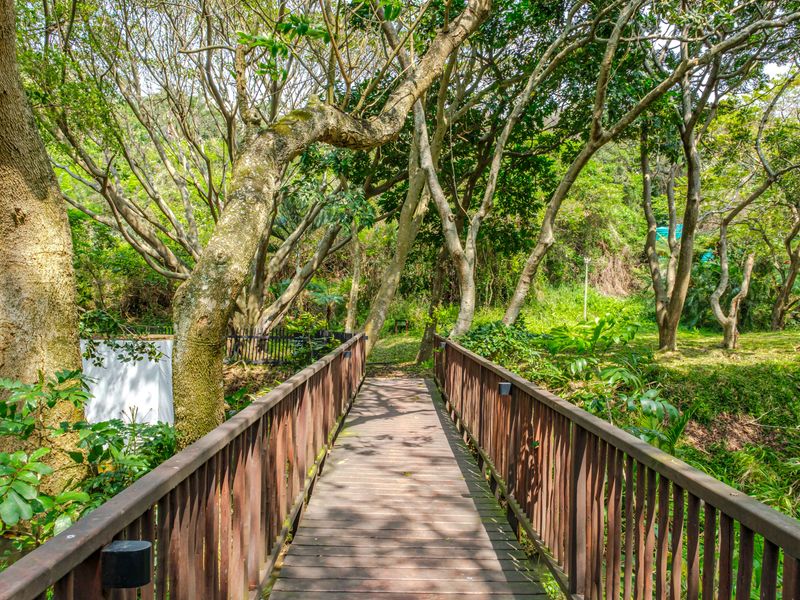 A scenic wooden footbridge set within a lush, mature garden area, providing a peaceful outdoor pathway.
