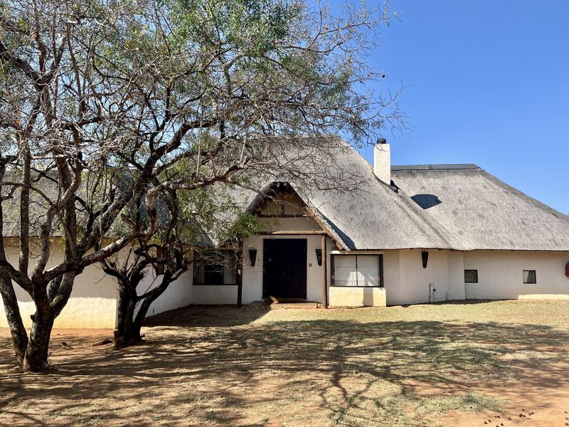 Front elevation of a lodge featuring a traditional thatched roof, masonry chimney, and a central timber entrance door set within a natural bushveld landscape.