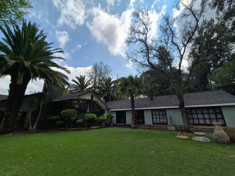 A spacious rear garden featuring a well-maintained lawn, mature palm trees, and a view of the home's rear elevation with tiled roofing.