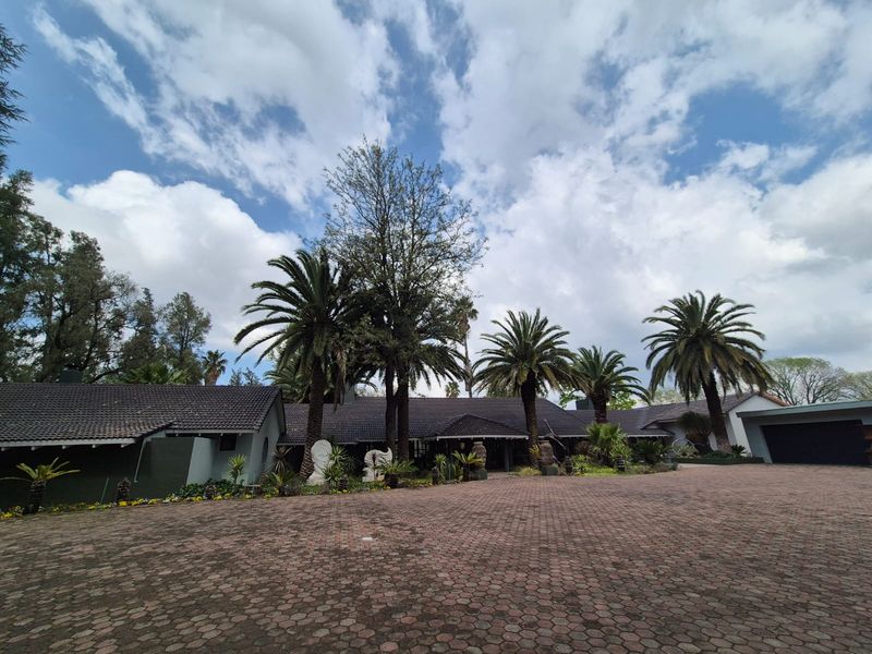 Spacious front exterior view of a well-maintained house featuring a large paved driveway, mature palm trees, and a tiled roof structure.