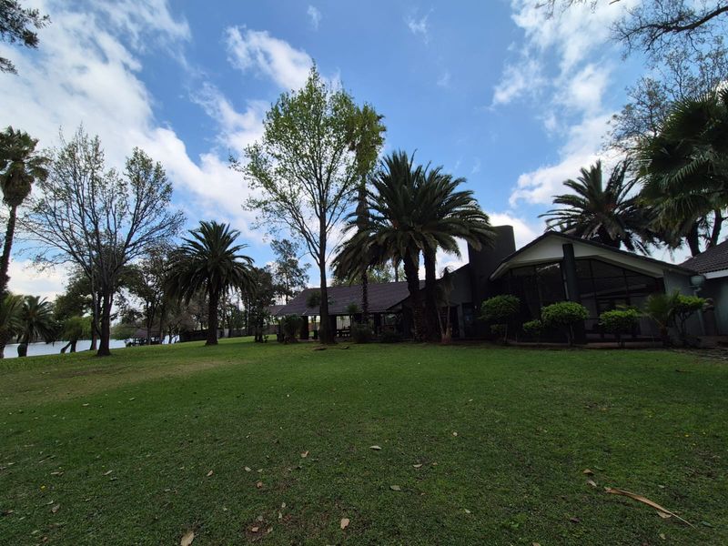 A spacious rear garden featuring mature palm trees and established landscaping, providing a scenic view of the property's rear elevation.