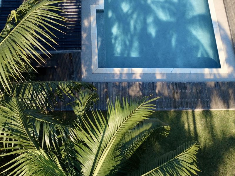 An aerial view of a swimming pool area featuring timber decking and a pergola, surrounded by lush garden landscaping.