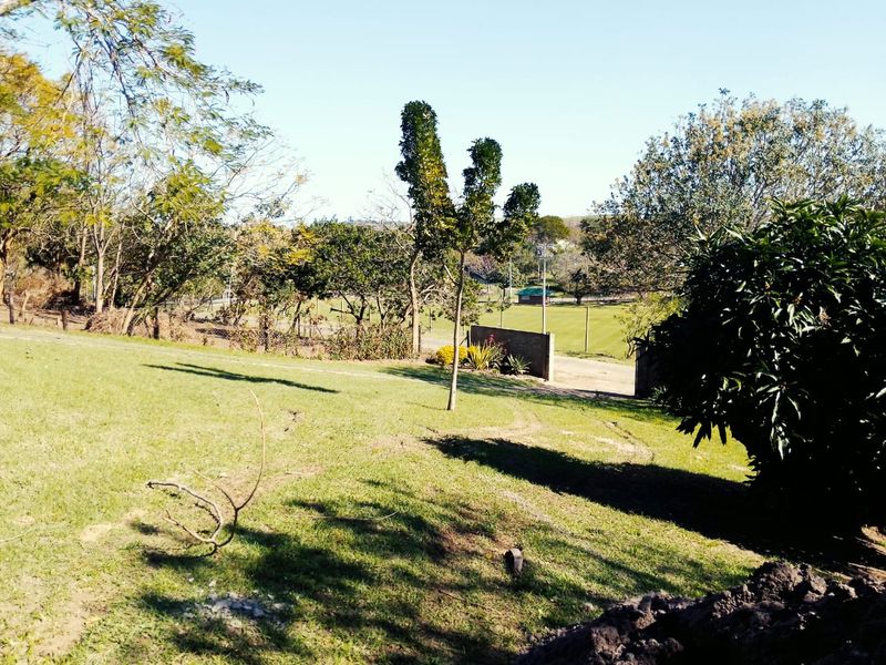 A spacious, sloping garden area featuring mature trees, established lawn, and a boundary wall, offering an open outdoor space.