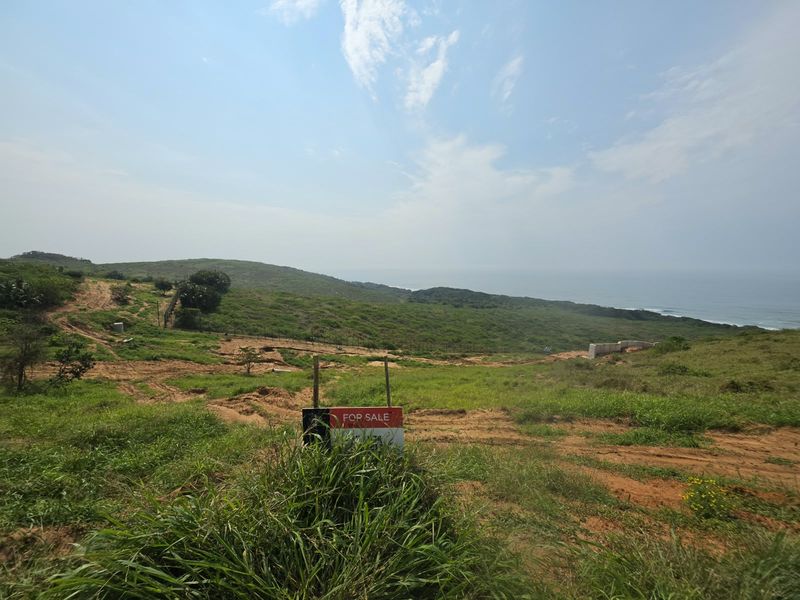 A wide-angle view of a vacant residential plot featuring natural coastal vegetation and ocean views.