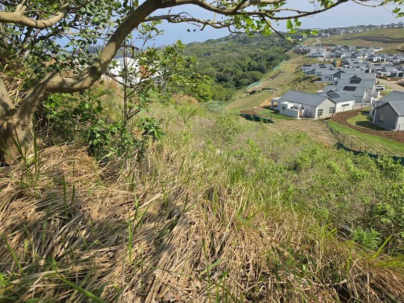 A view overlooking a sloped, undeveloped residential plot with natural vegetation, situated within a developed estate setting.