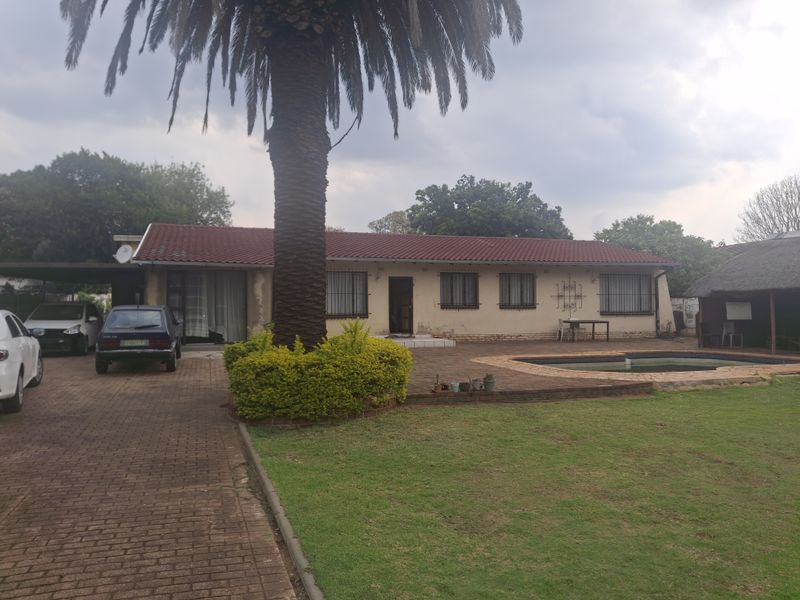 Rear view of the property featuring a paved patio, swimming pool, thatched lapa, and a large palm tree set within a spacious garden.
