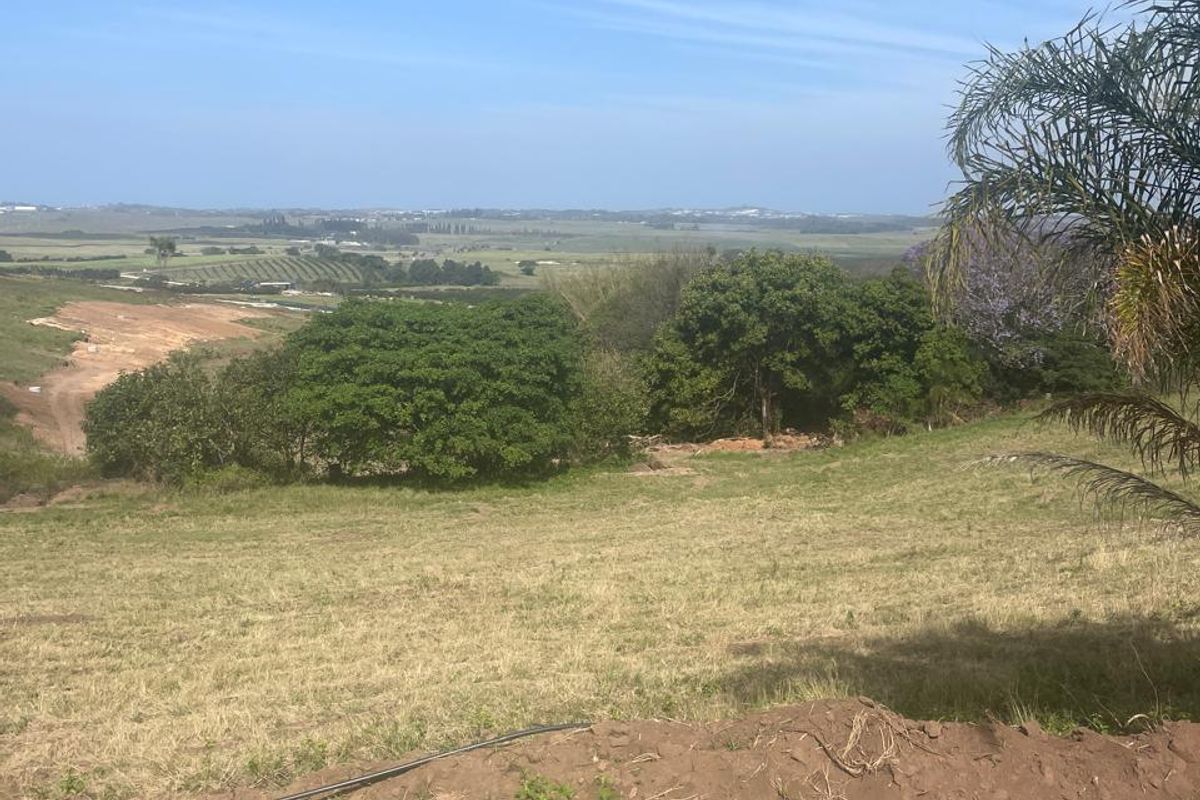 A scenic view overlooking a sloped, undeveloped residential plot with mature trees and distant landscape vistas.