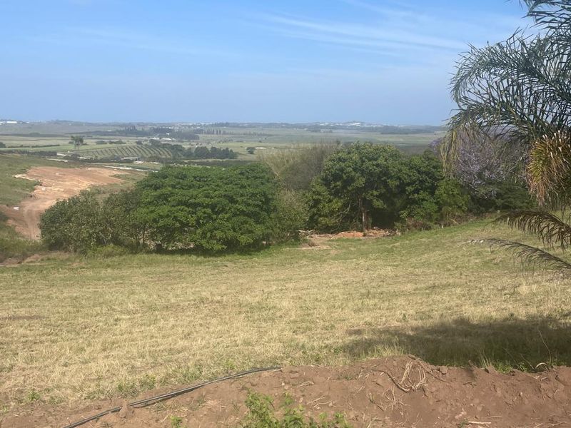A scenic view overlooking a sloped, undeveloped residential plot with mature trees and distant landscape vistas.