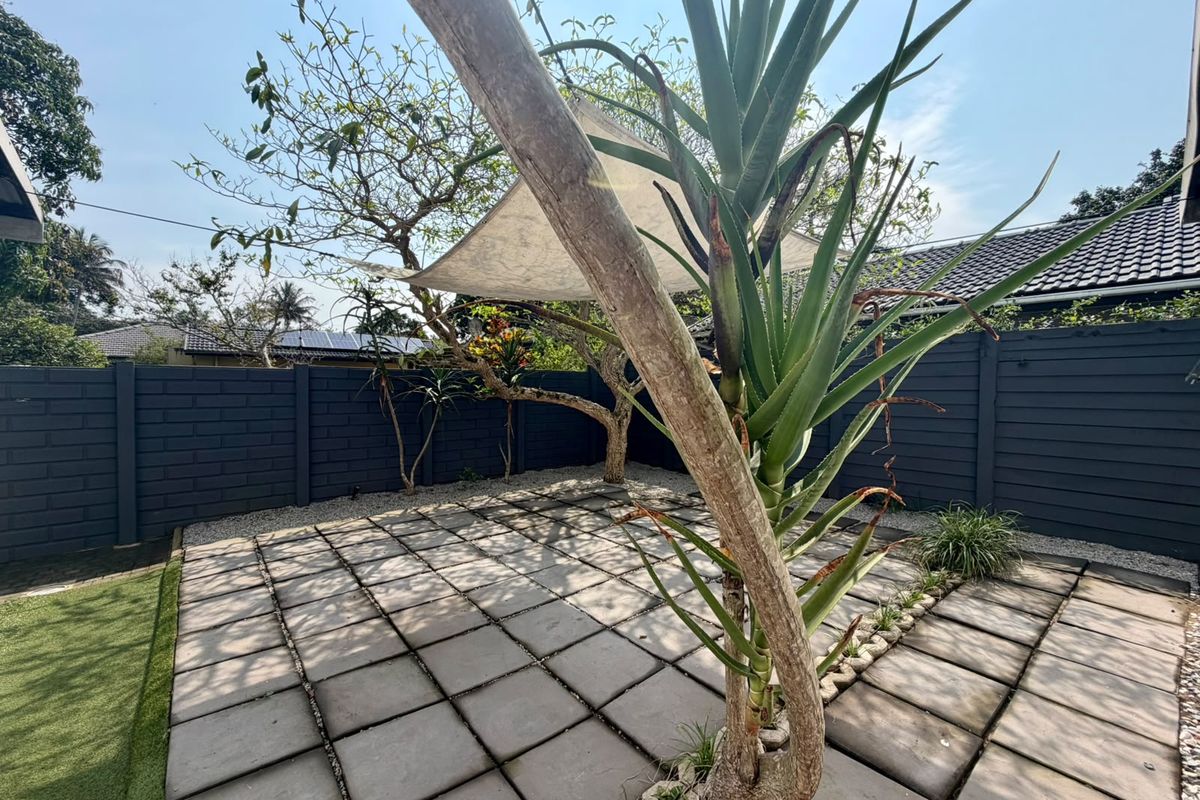 A well-maintained rear courtyard featuring paved flooring, a dark-painted boundary wall, and a shade sail for outdoor comfort.