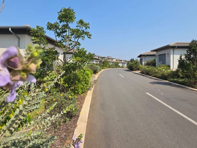 A view of a paved residential street within a housing estate, featuring well-maintained verges and modern residential units.