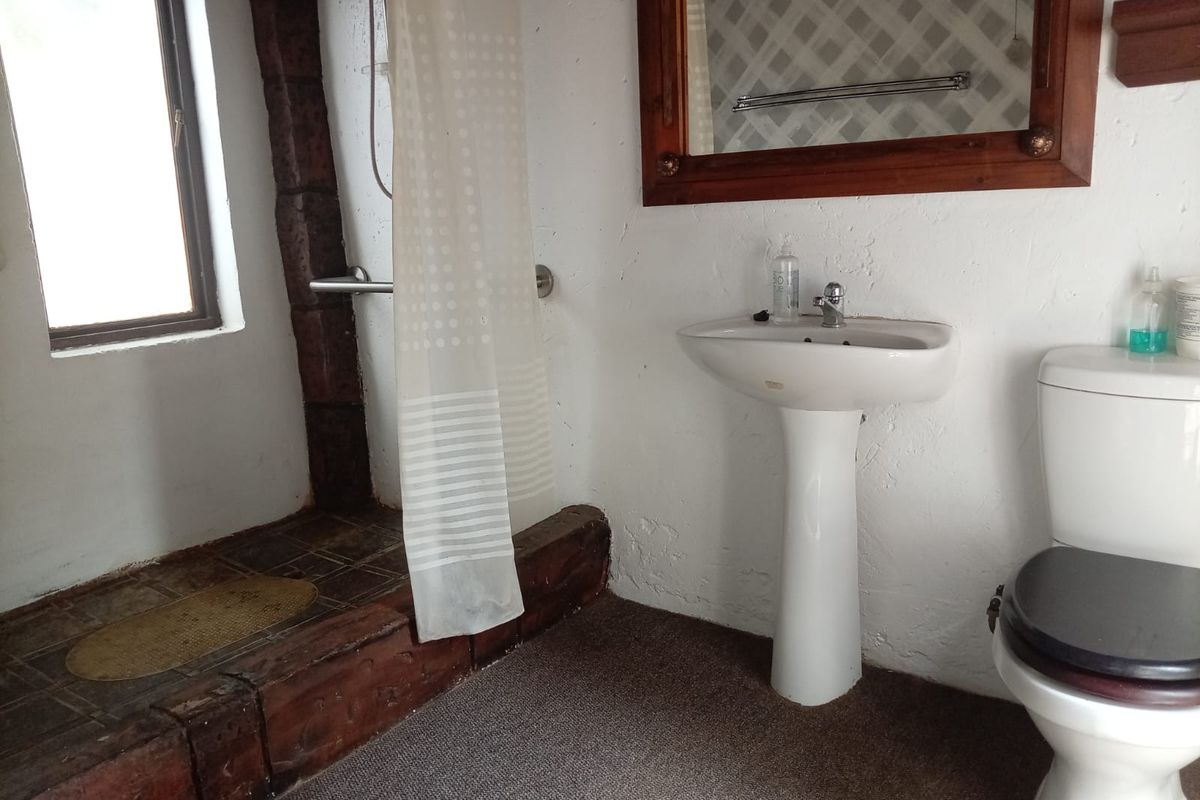A dated bathroom featuring a pedestal sink, toilet, and a raised shower area with timber detailing and a wall-mounted mirror.