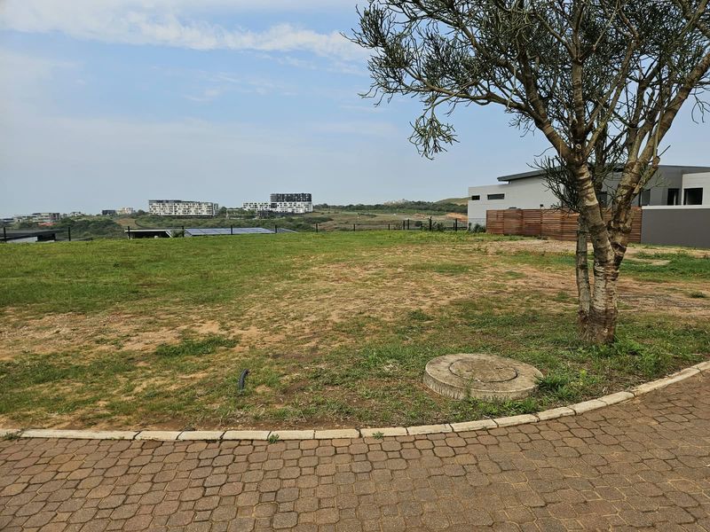 A vacant residential plot featuring a paved driveway, established tree, and clear views of the surrounding estate and landscape.