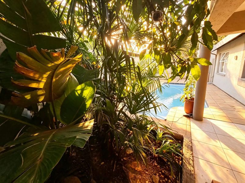 A sunlit outdoor pool area featuring a tiled patio and lush garden surroundings, providing a tranquil space for relaxation.