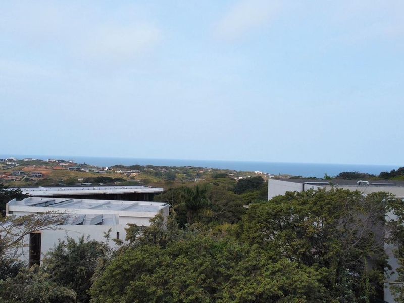 Elevated panoramic view overlooking the surrounding residential estate with distant ocean horizon.