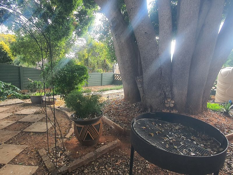 A private garden area featuring mature trees, paved sections, boundary fencing, and a water storage tank.