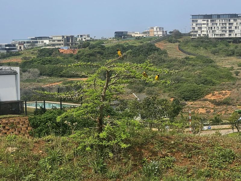 A view of the surrounding residential estate landscape, featuring sloped terrain and natural vegetation with distant modern housing developments.