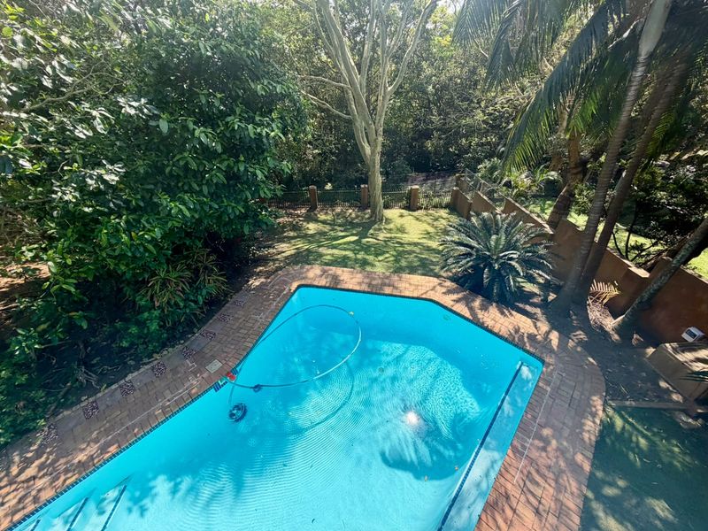 An elevated view of a private swimming pool with brick coping, surrounded by a lush, mature garden and boundary wall.