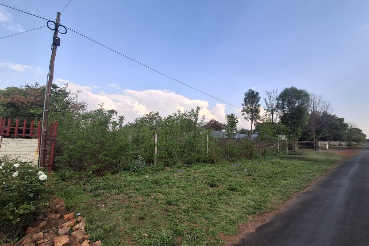 A street-level view of a vacant residential plot featuring established vegetation, wire fencing, and adjacent asphalt road access.