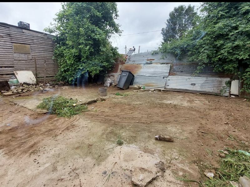 Rear exterior area featuring a concrete slab, timber shed, and corrugated iron fencing in need of significant maintenance and clearing.