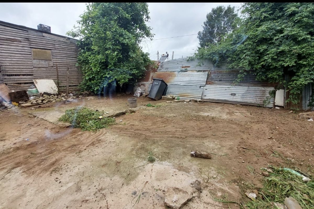 Rear exterior area featuring a concrete slab, timber shed, and corrugated iron fencing in need of significant maintenance and clearing.